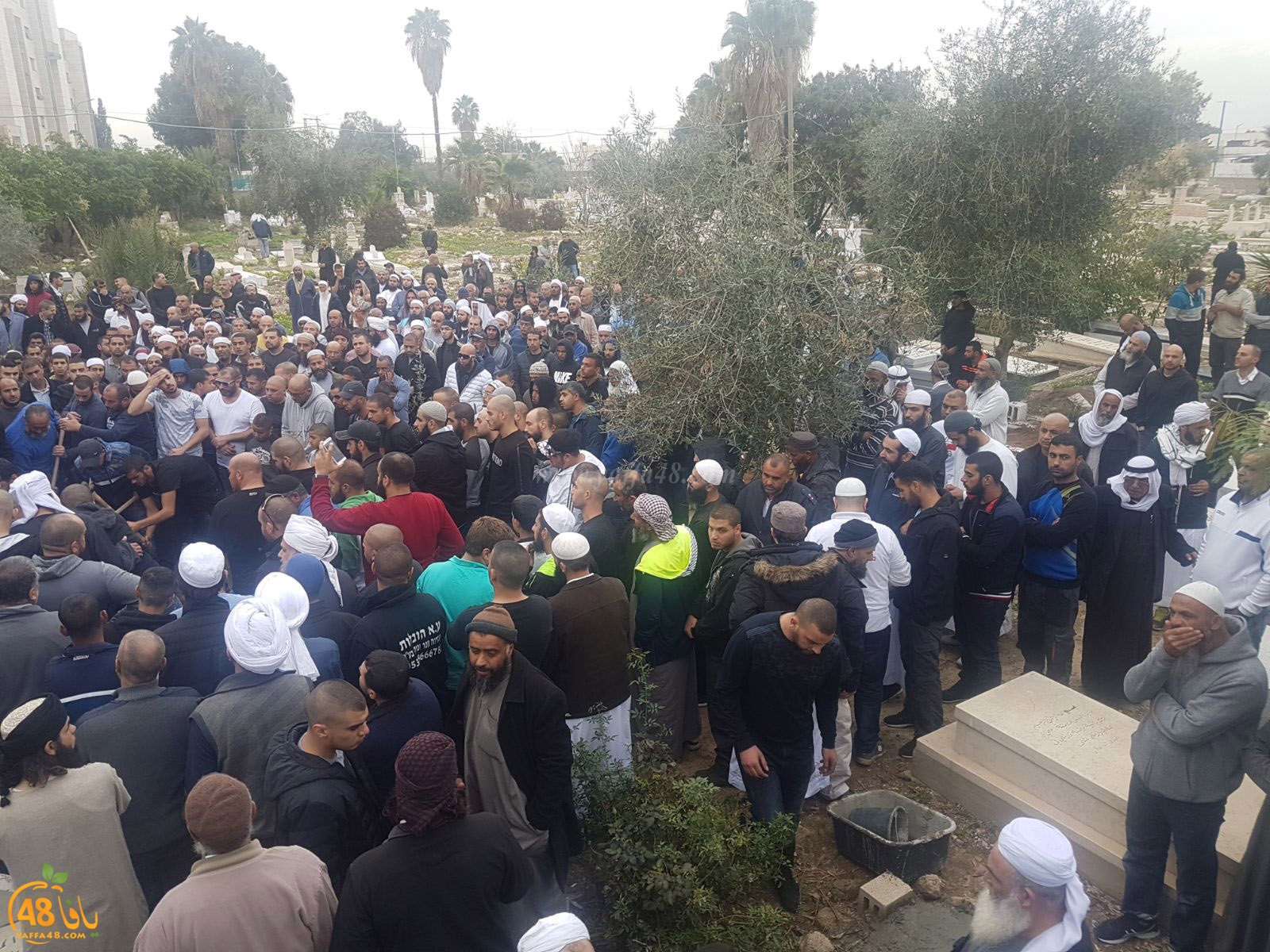 tasheeye3 om mhmoud (1).jpg